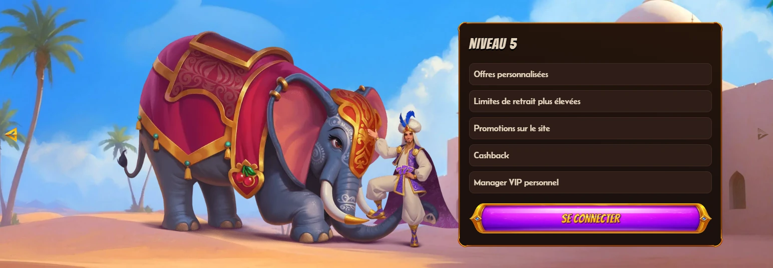 Niveaux du programme VIP sur AbuKing Casino